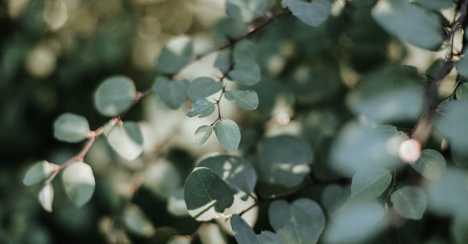 BScN, RN | Pediatric Sleep & Development | Mom